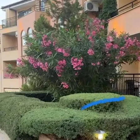 Sveti Vlas, Paradise Dreams Apartment